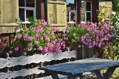 Imagem jigsaw puzzle