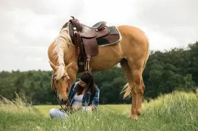 Imagem jigsaw puzzle