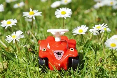 Imagem jigsaw puzzle