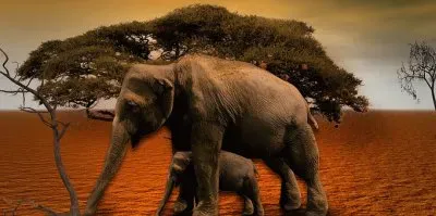 Imagem jigsaw puzzle