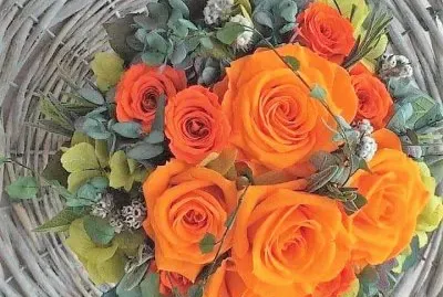 flores