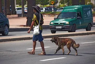 peÃ±arol jigsaw puzzle