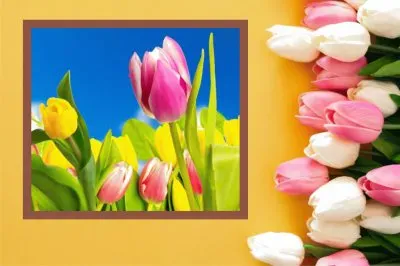 èŠ±æ¼¾ jigsaw puzzle