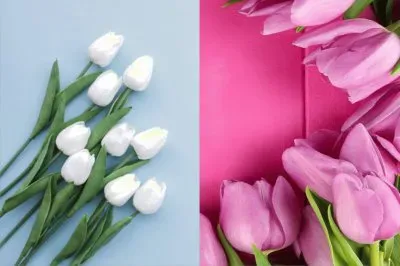 èŠ±æ¨£æ­é… jigsaw puzzle