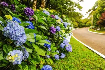 imagem jigsaw puzzle