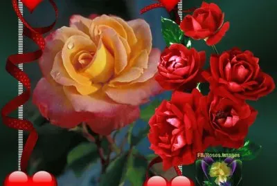 imagem jigsaw puzzle