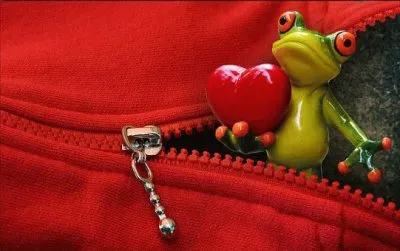 Imagem jigsaw puzzle