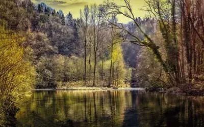 Imagem jigsaw puzzle