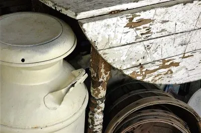 natural jigsaw puzzle