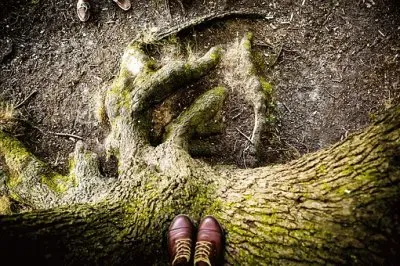 Imagem jigsaw puzzle