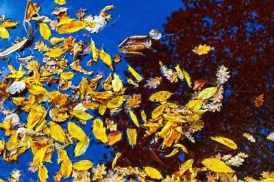 Imagem jigsaw puzzle