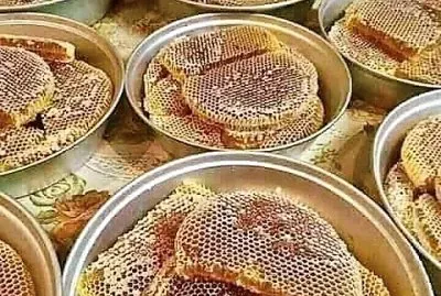 natural jigsaw puzzle