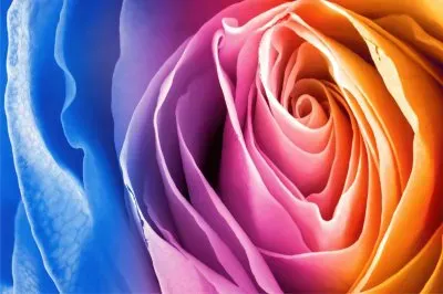 è‰²å½© jigsaw puzzle