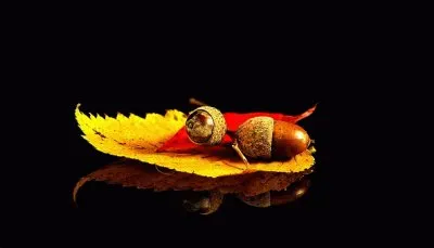 פאזל של Imagem