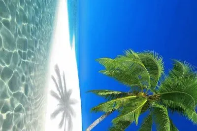 פאזל של natural