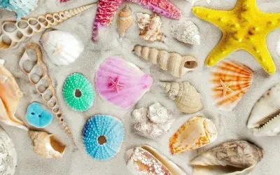 פאזל של Conchas