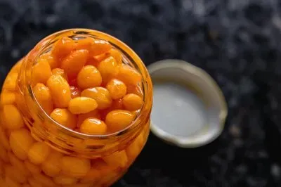 פאזל של Imagem