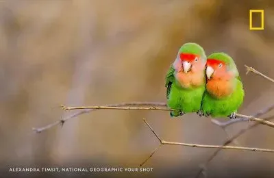 natural