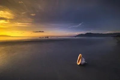 Imagem jigsaw puzzle