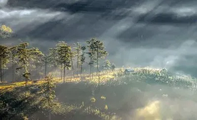 פאזל של Imagem