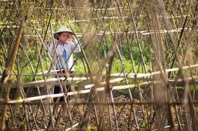 פאזל של Imagem