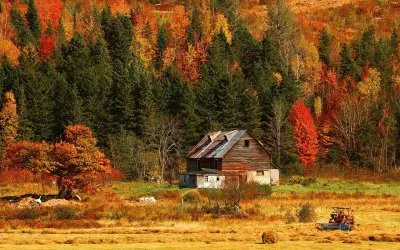 naturaleza jigsaw puzzle