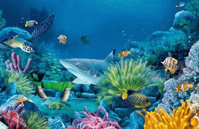 Ocean Life