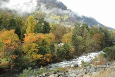 naturaleza