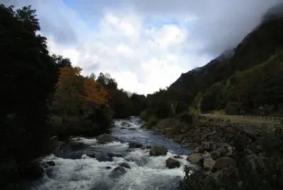 naturaleza