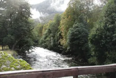 naturaleza