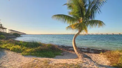 Miami