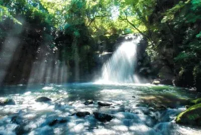 Imagem jigsaw puzzle