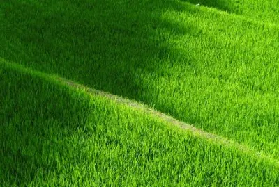 פאזל של Imagem