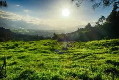 Imagem jigsaw puzzle