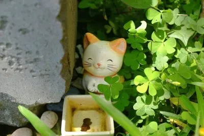 Imagem jigsaw puzzle