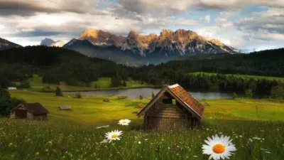 naturaleza jigsaw puzzle