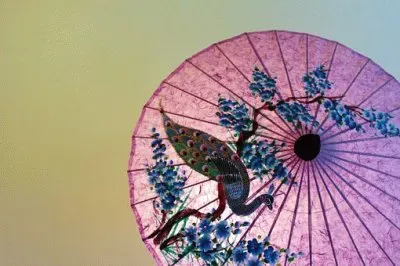 Imagem jigsaw puzzle