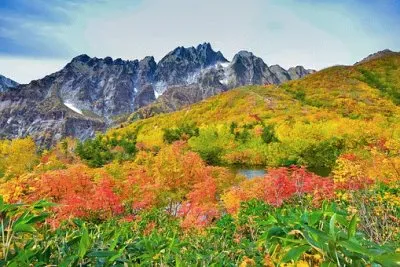 Imagem jigsaw puzzle