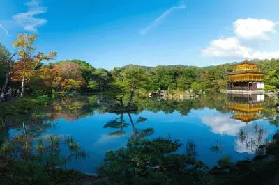 Imagem jigsaw puzzle