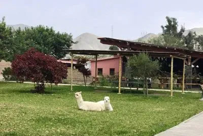 Casa Verde Hotel Ecologico - Mala (Sur de Lima )