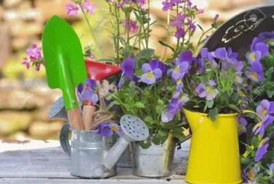 פאזל של Garden Tool Table