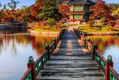 Imagem jigsaw puzzle