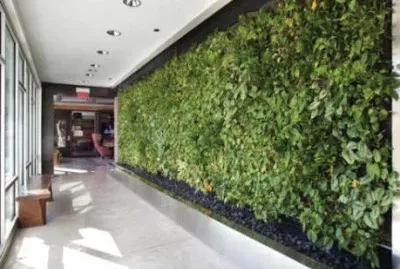 Imagem jigsaw puzzle