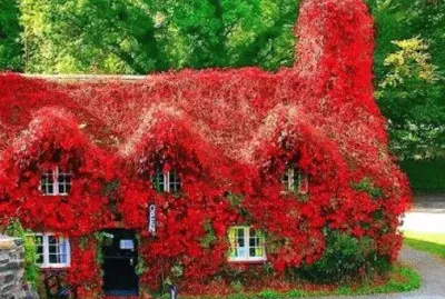 naturaleza
