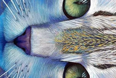 arte