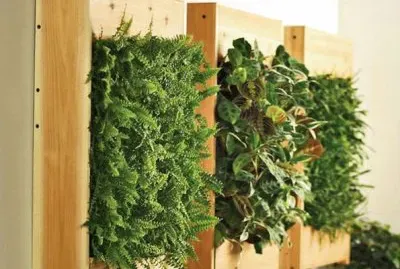 Imagem jigsaw puzzle