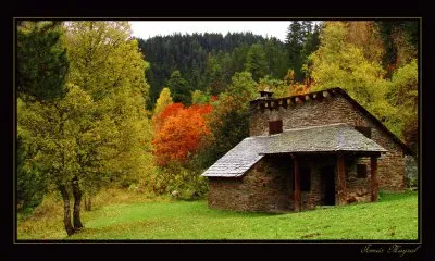 naturaleza jigsaw puzzle