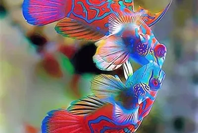 natural jigsaw puzzle