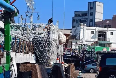 åŸºéš†é‡ŽæŸ³