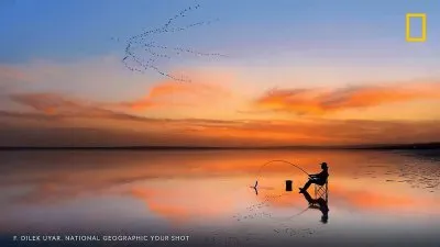 natural jigsaw puzzle